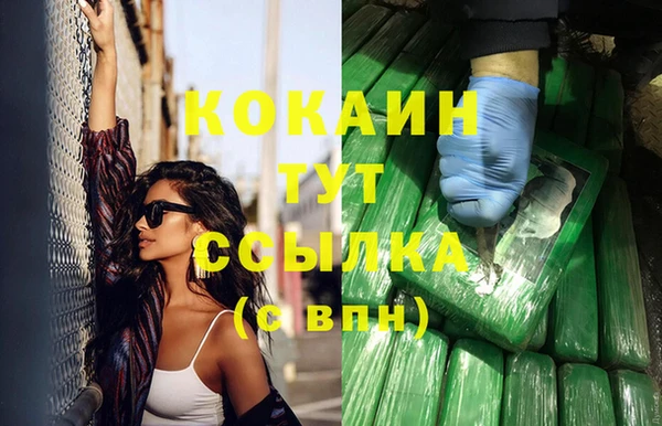 спиды Абаза